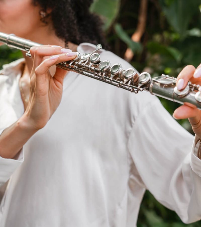 instrumentos-de-sopro-com-manutencao-profissional